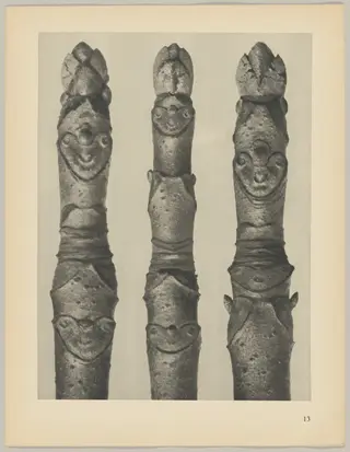 Aesculus parviflora, by Karl Blossfeldt, 1928