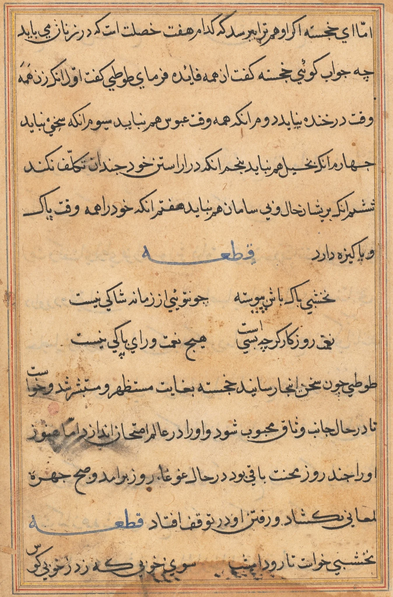 Page from Tales of a Parrot (Tuti-nama): text page, detail