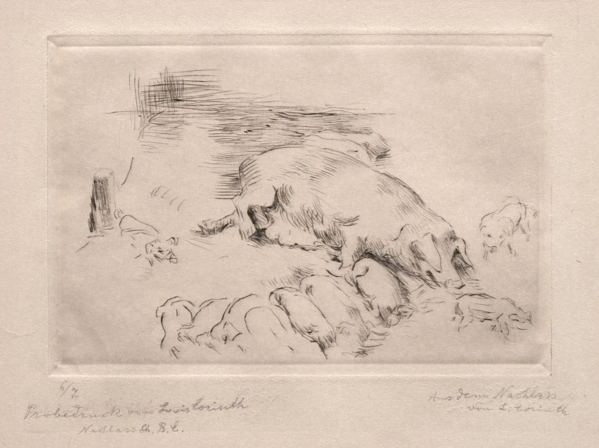Sows and Piglets, detail