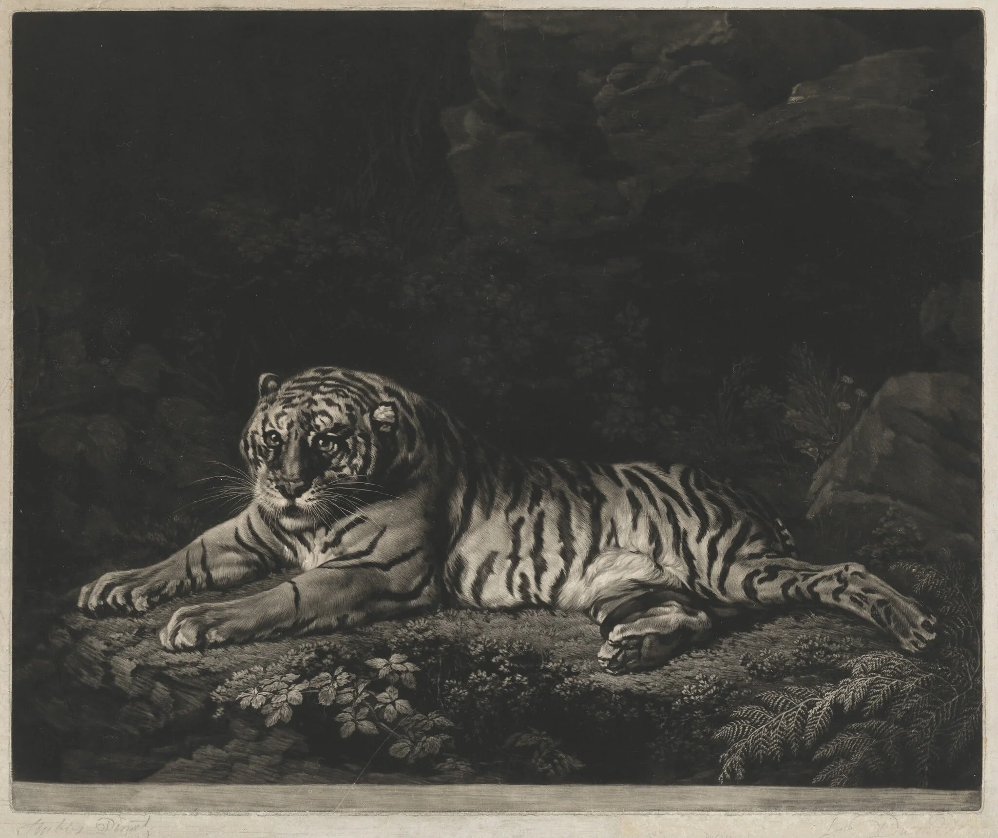 A Tigress, detail