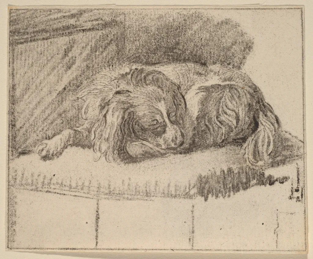 Lying Dog, by Jacobus Buys, chalk, 1777