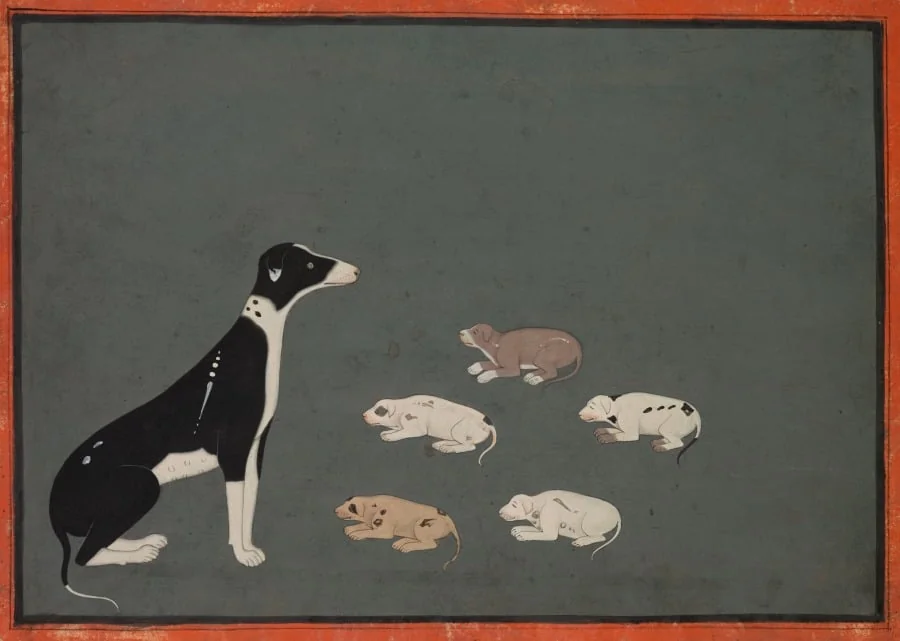 Dog with pups, detail