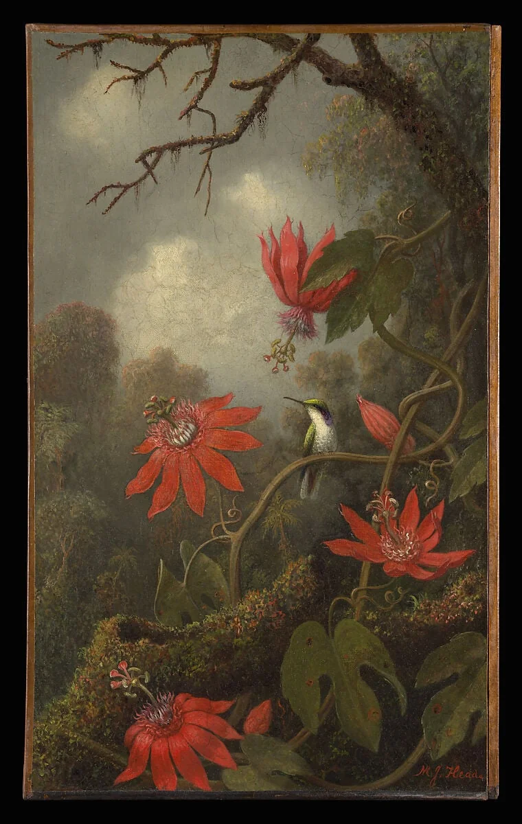 Hummingbird and Passionflowers, detail