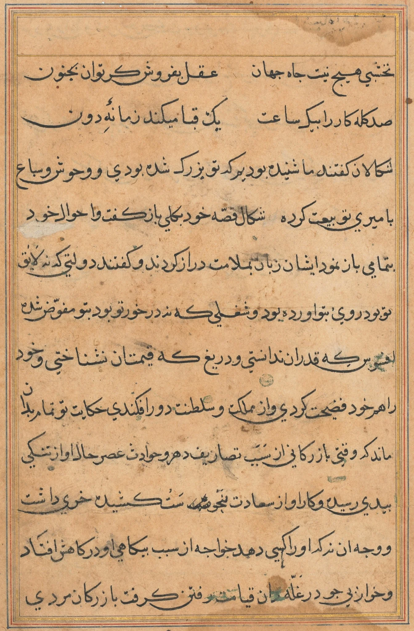 Page from Tales of a Parrot (Tuti-nama): text page, detail