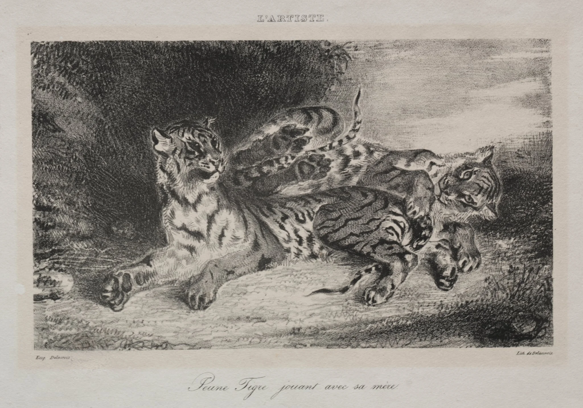 Young Tiger Playing with its Mother, detail