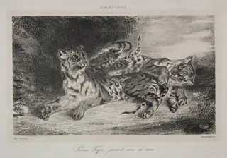 Young Tiger Playing with its Mother, by Eugène Delacroix, 1831