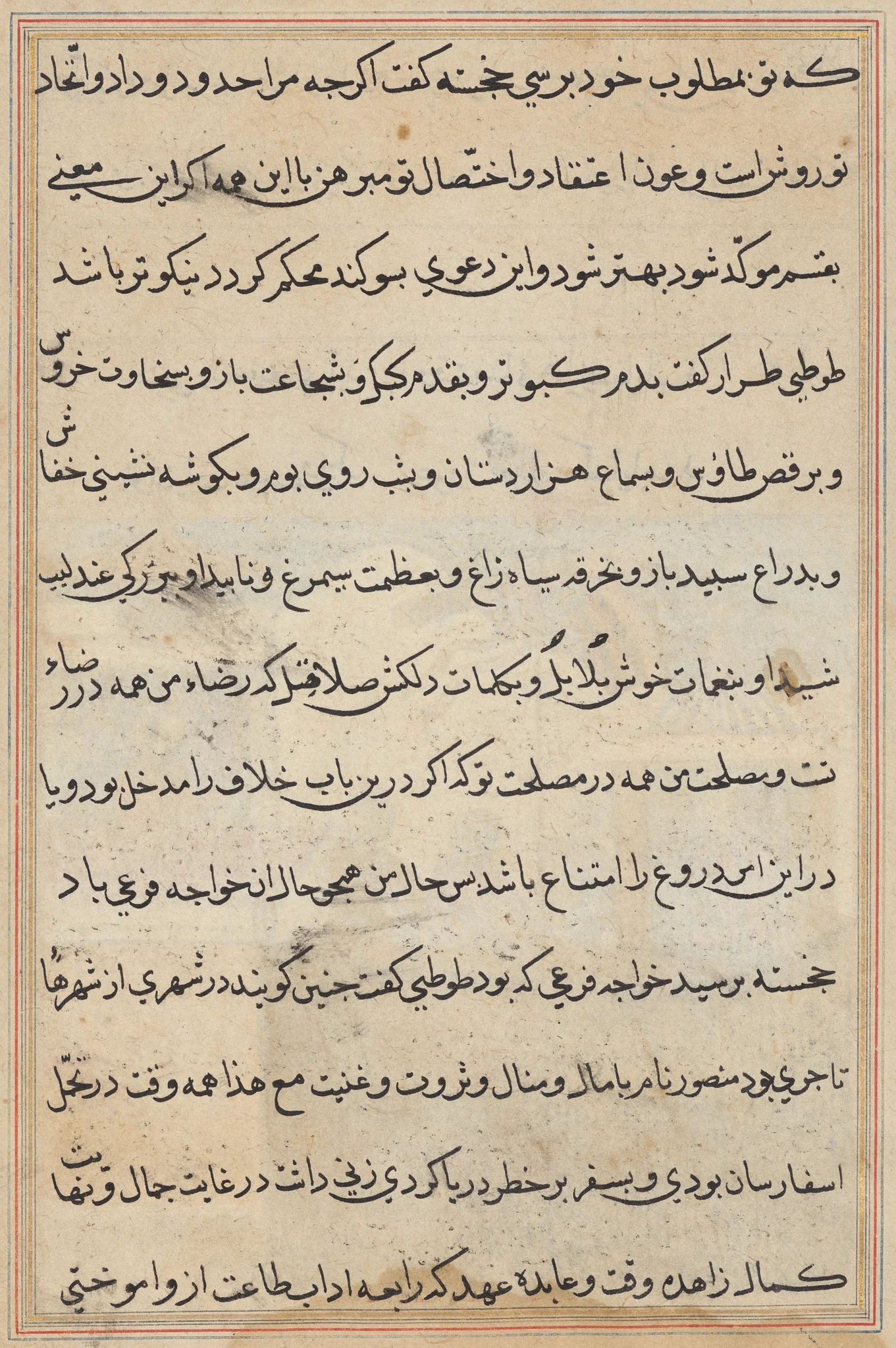 Page from Tales of a Parrot (Tuti-nama): text page, detail
