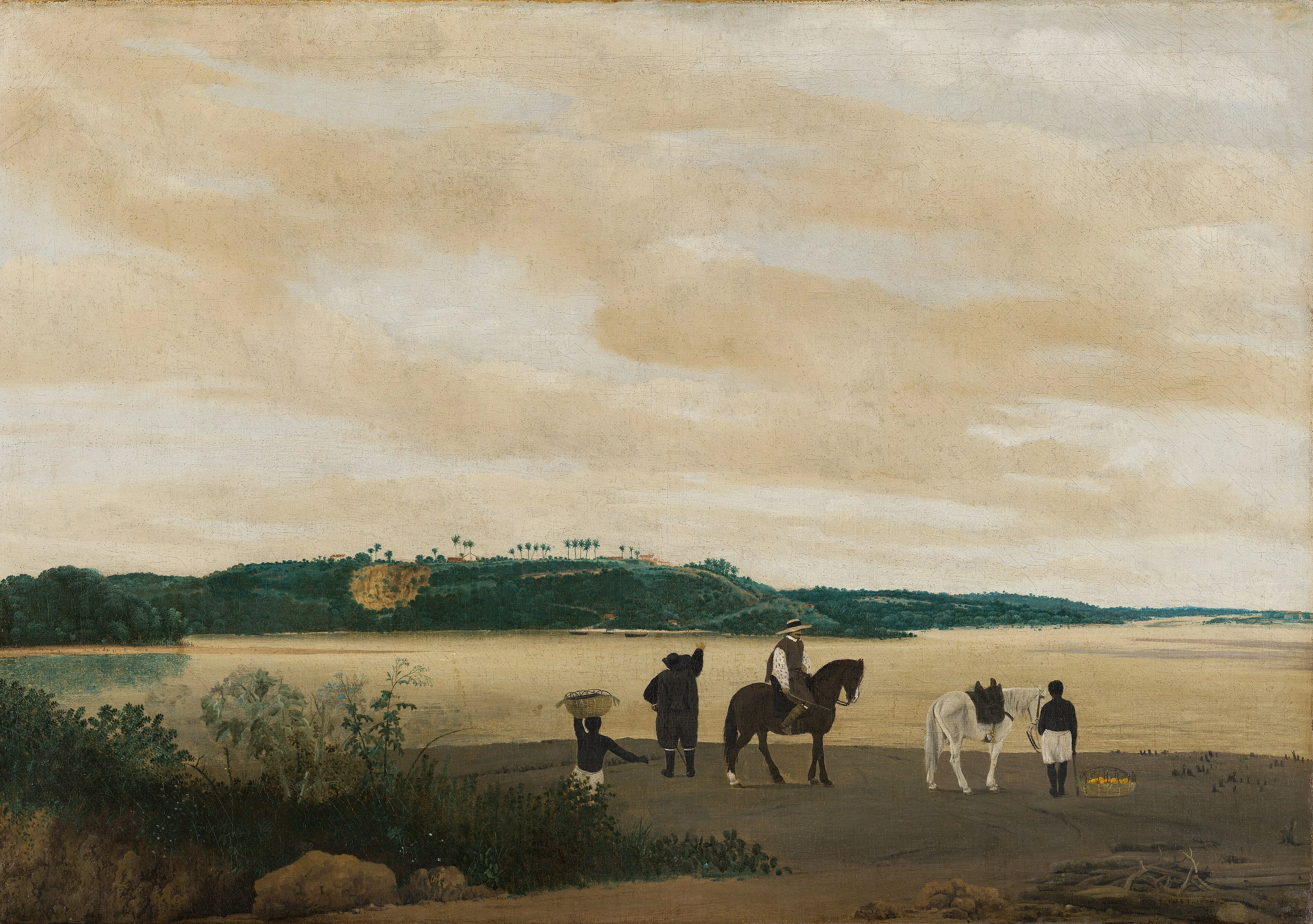 View on Tamaracá Island, Brazil, detail