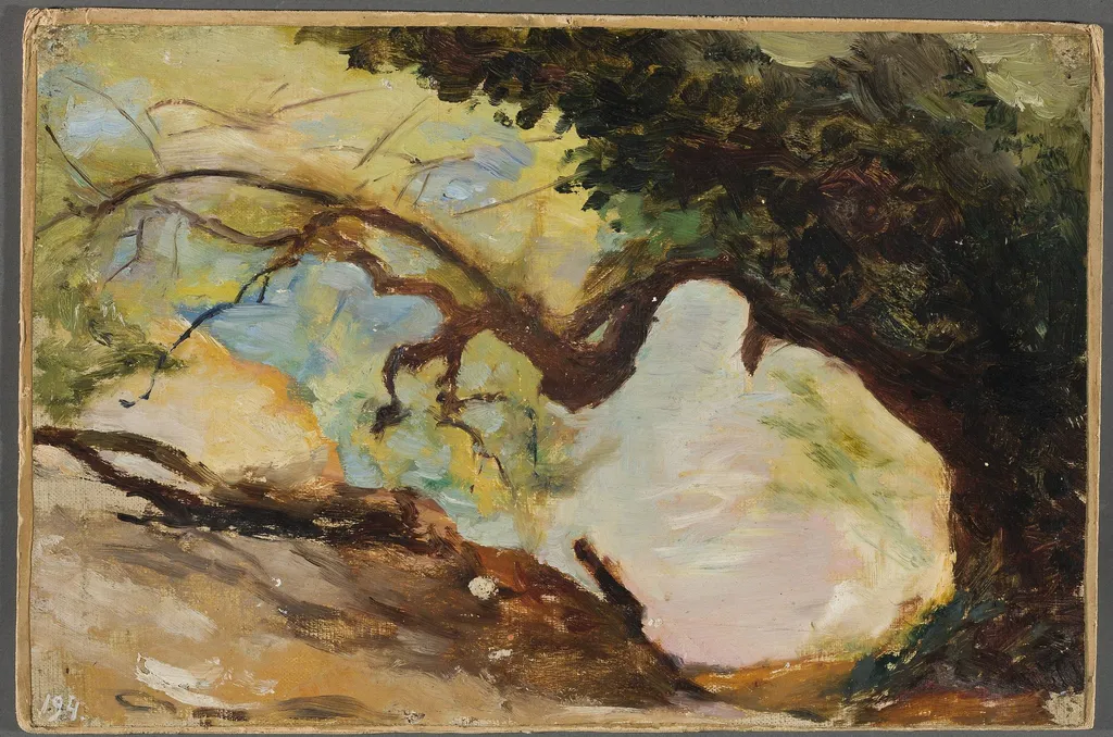 Trees in Alupka. From the journey to Crimea, by Jan Ciągliński, unspecified, 1897
