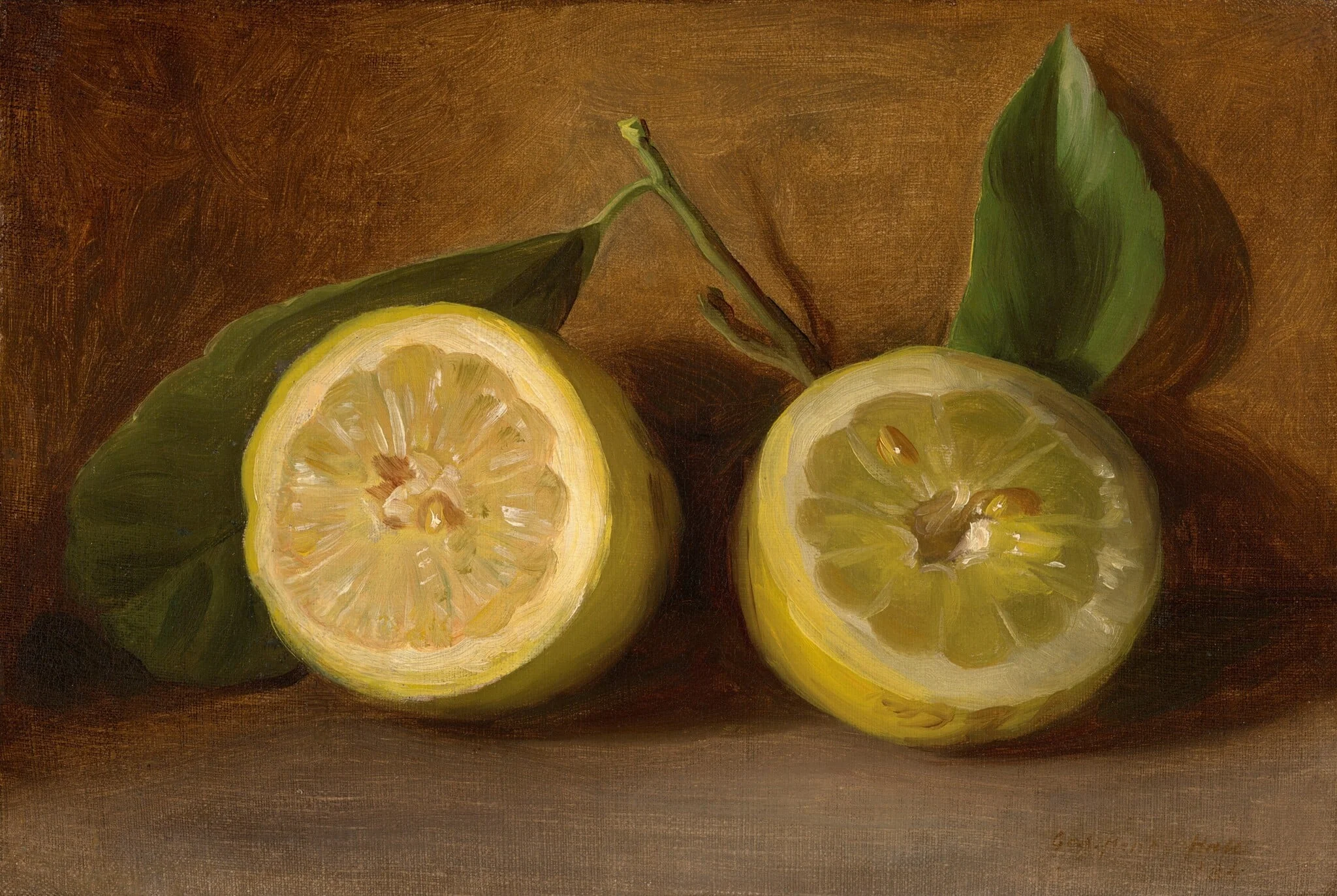 Lemons, detail