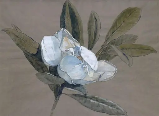 Magnolia, by Rudolf Ribarz, watercolor, 1875