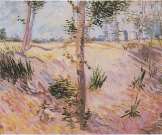 Trees on a slope, by Vincent van Gogh, oil