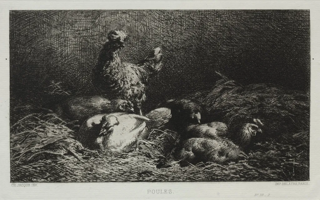 Chickens, by Charles Jacque, 1867