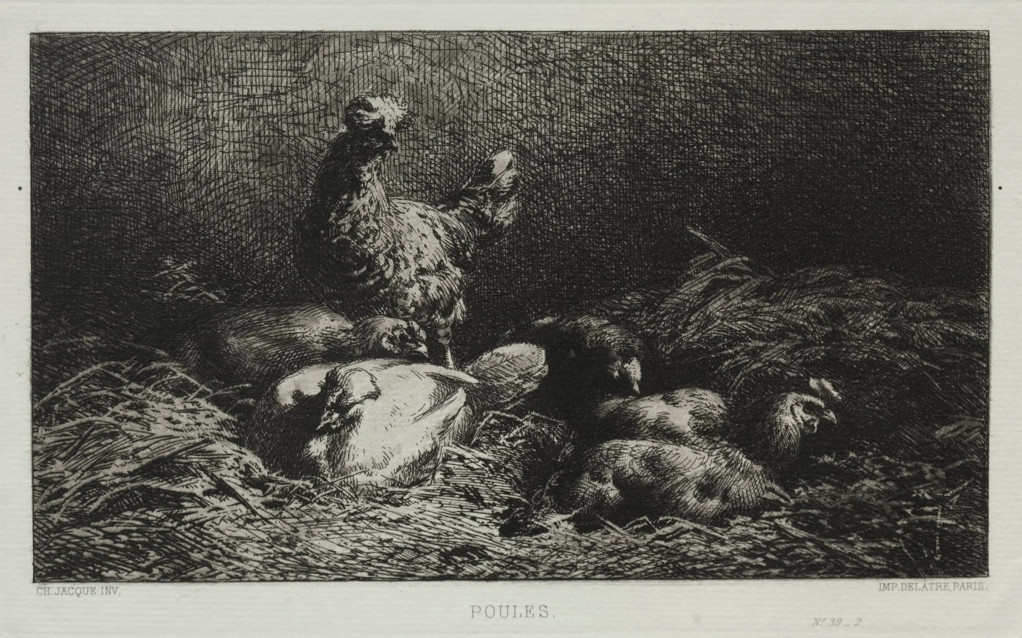 Chickens, detail