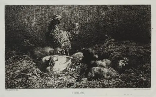 Chickens, by Charles Jacque, 1867