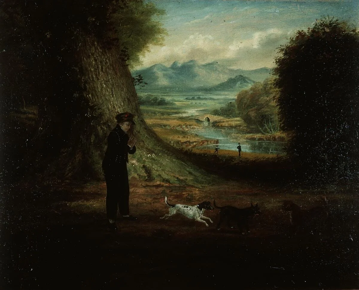 view near Gogerddan, detail