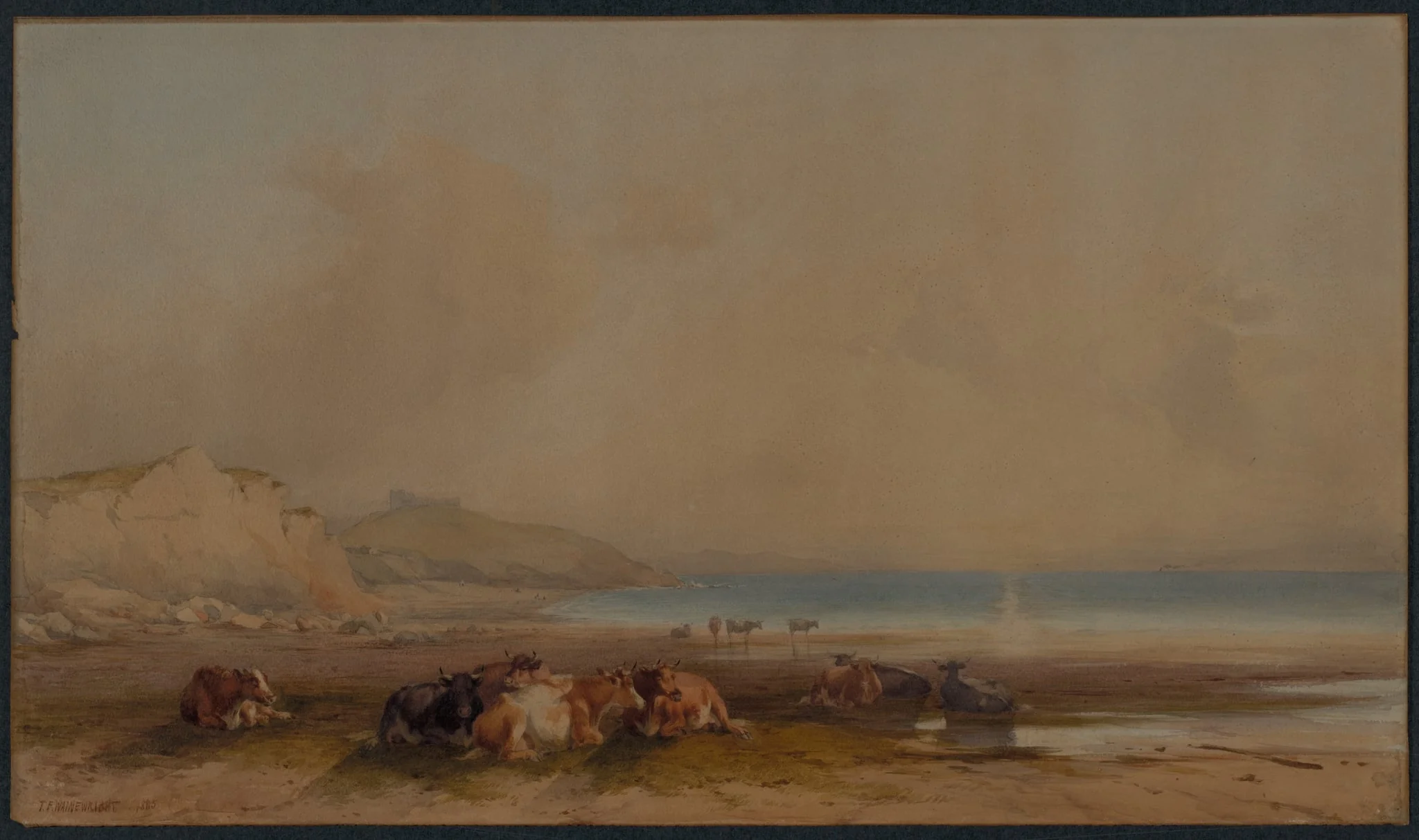 Landscape, detail