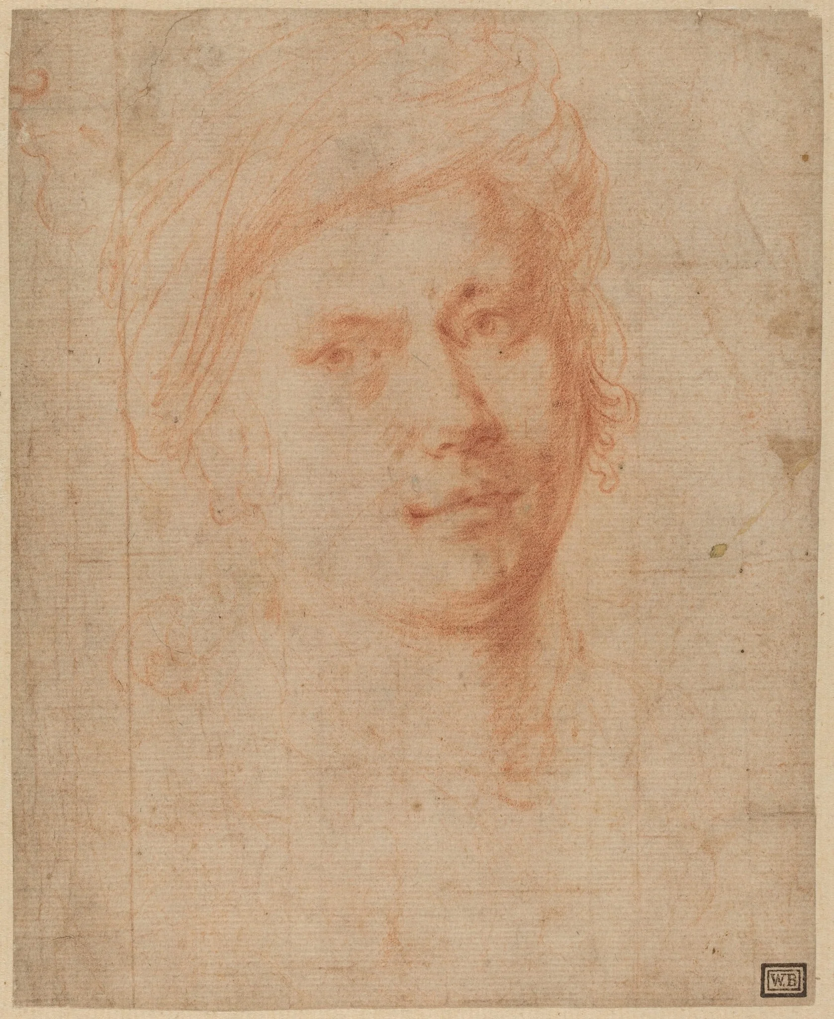 Head of a Youth, detail