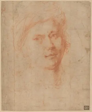Head of a Youth, by Alessandro Allori, chalk, 1571
