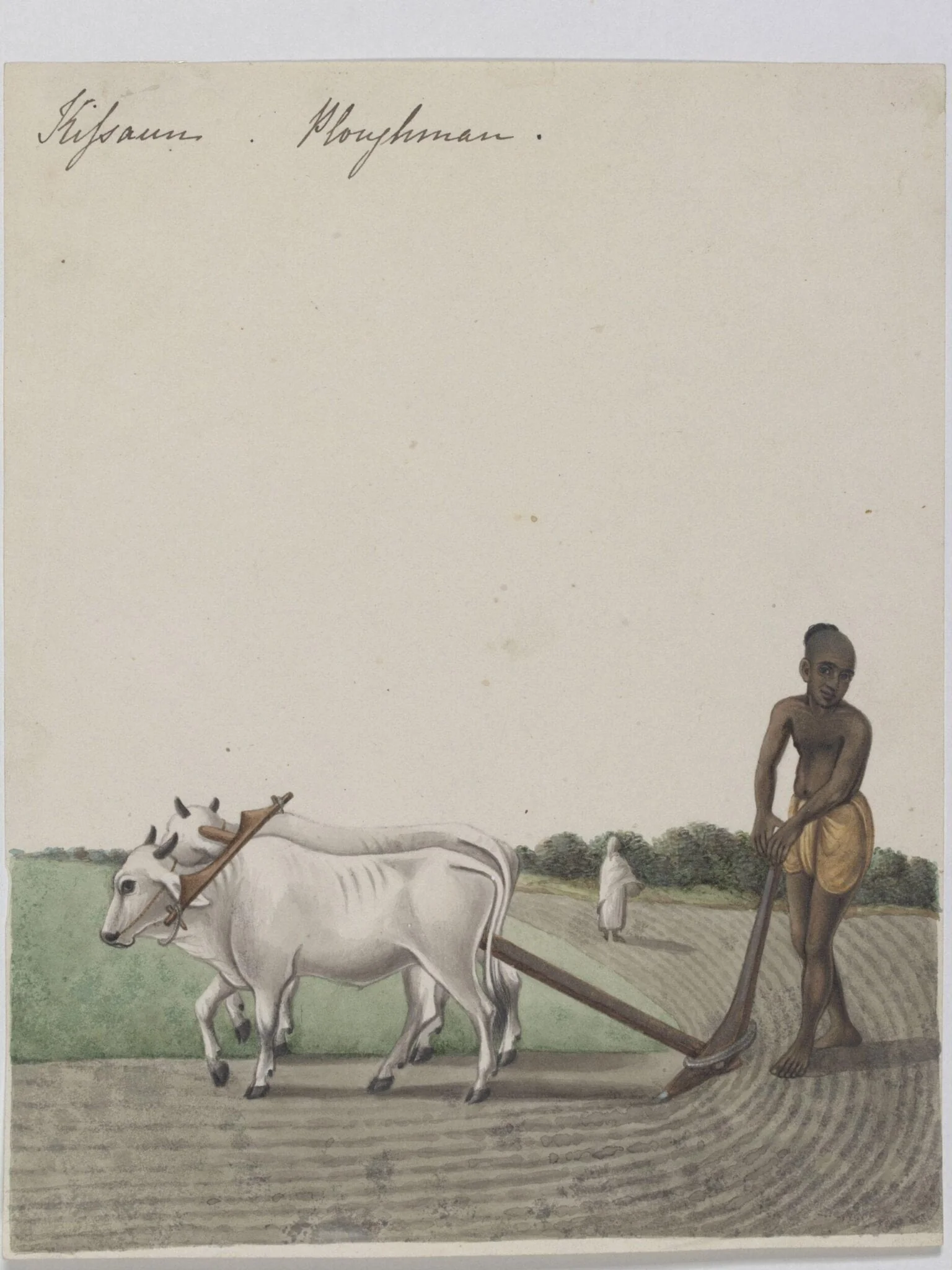 A cultivator, detail