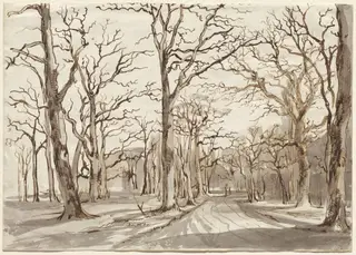 A Woodland Path in Rosenthal in Winter, by Johann Christian Reinhart, ink, 1785
