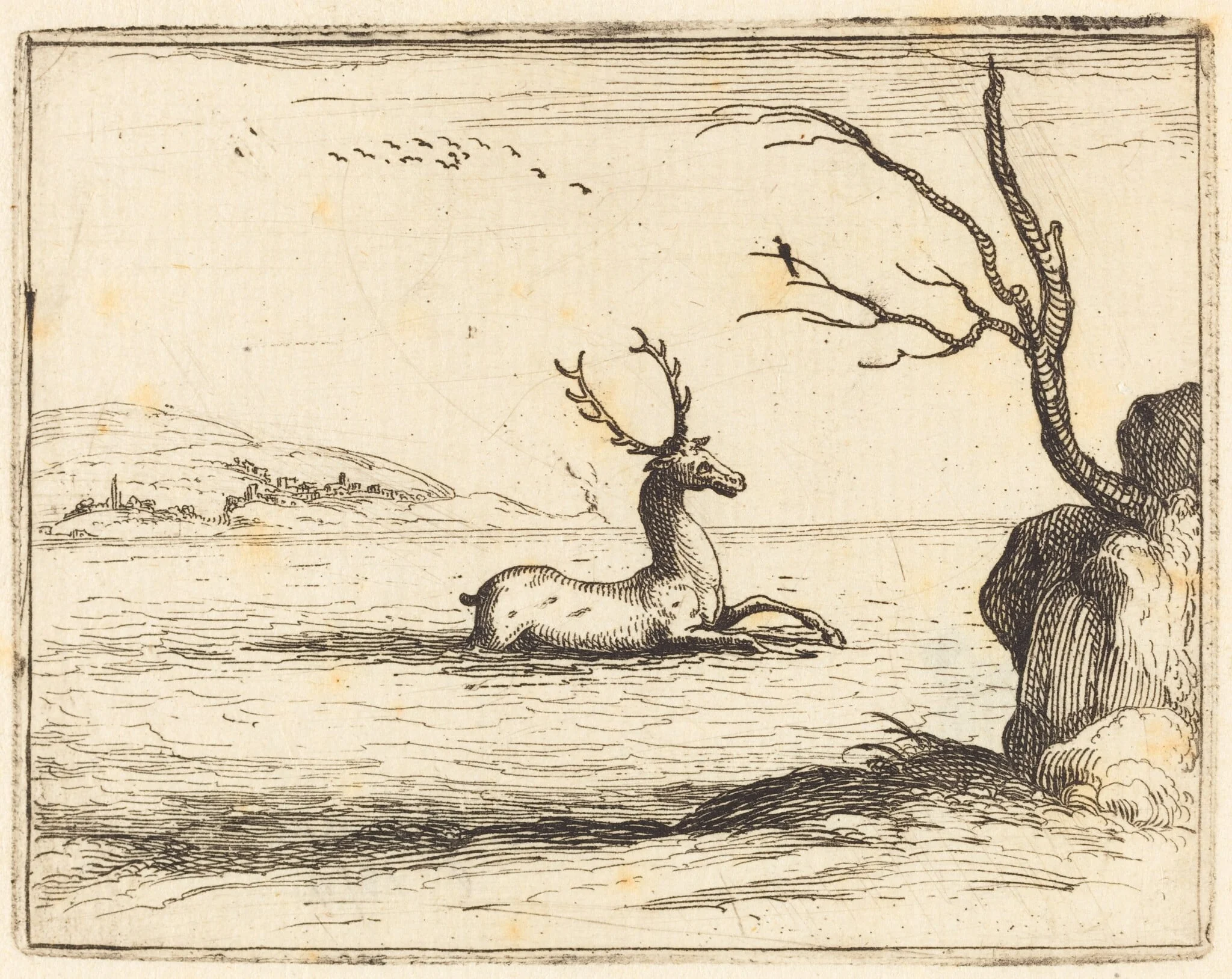 Stag in the Water, detail