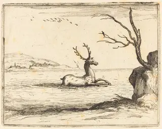 Stag in the Water, by Jacques Callot, ink, 1628