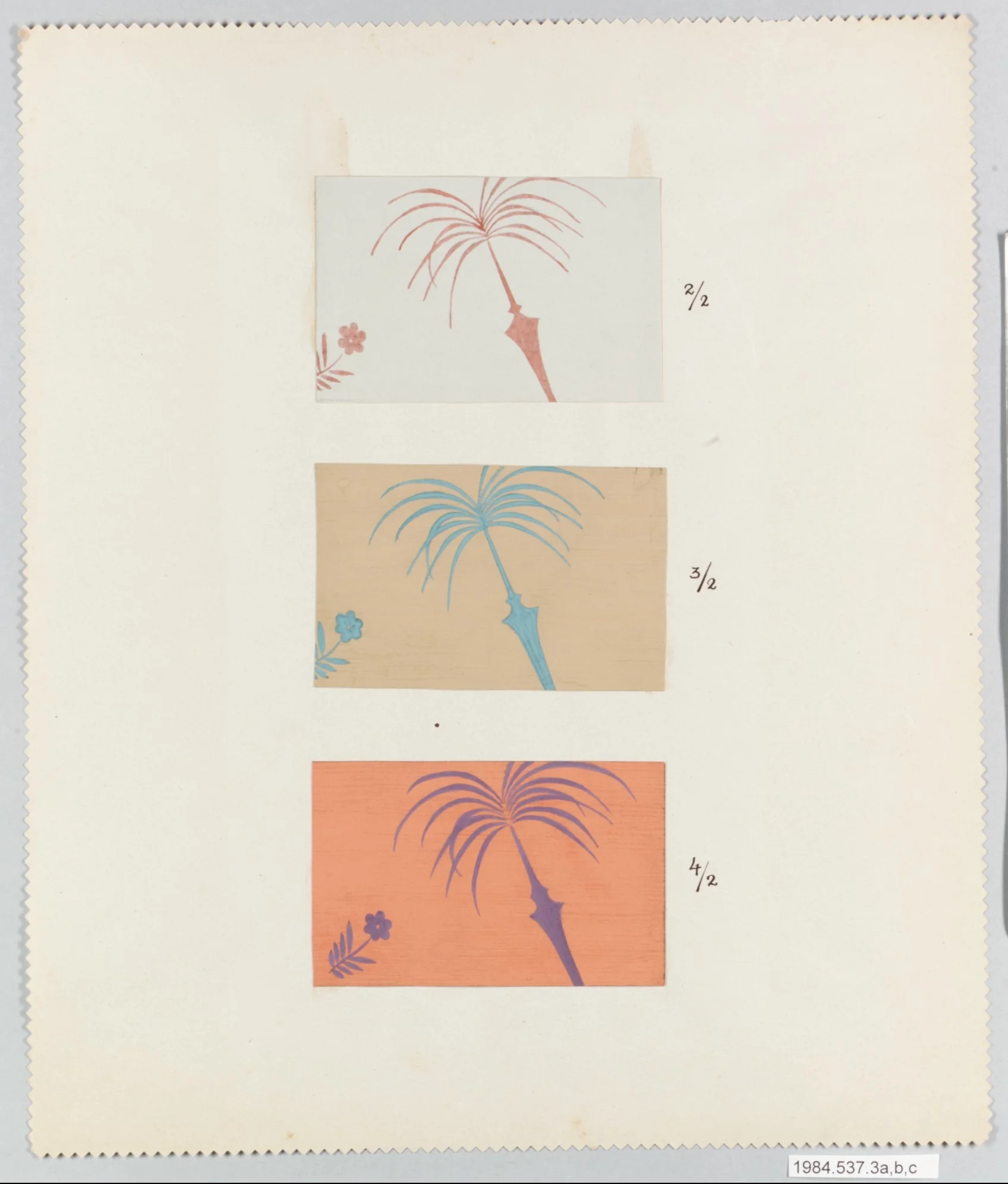 PALM, detail