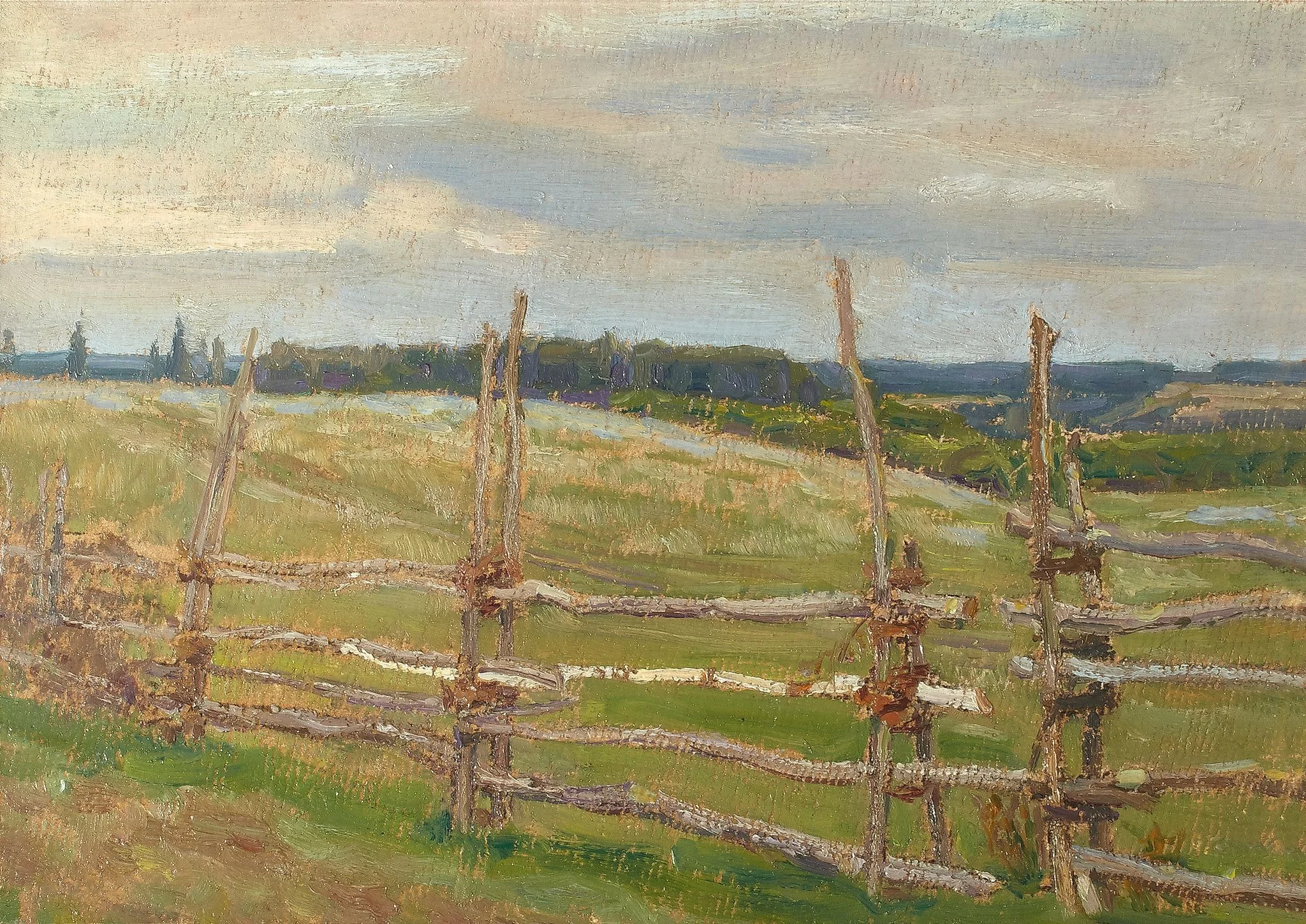 Demyanovo. Twilight in the field, detail