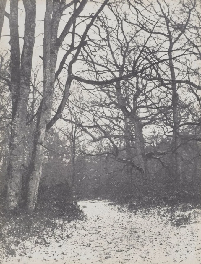 Road in the Forest, detail