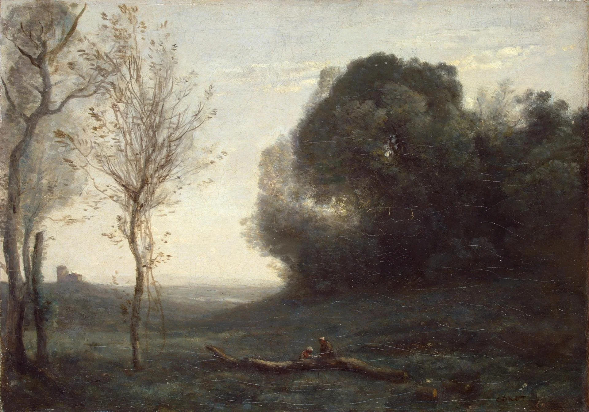 Morning, detail