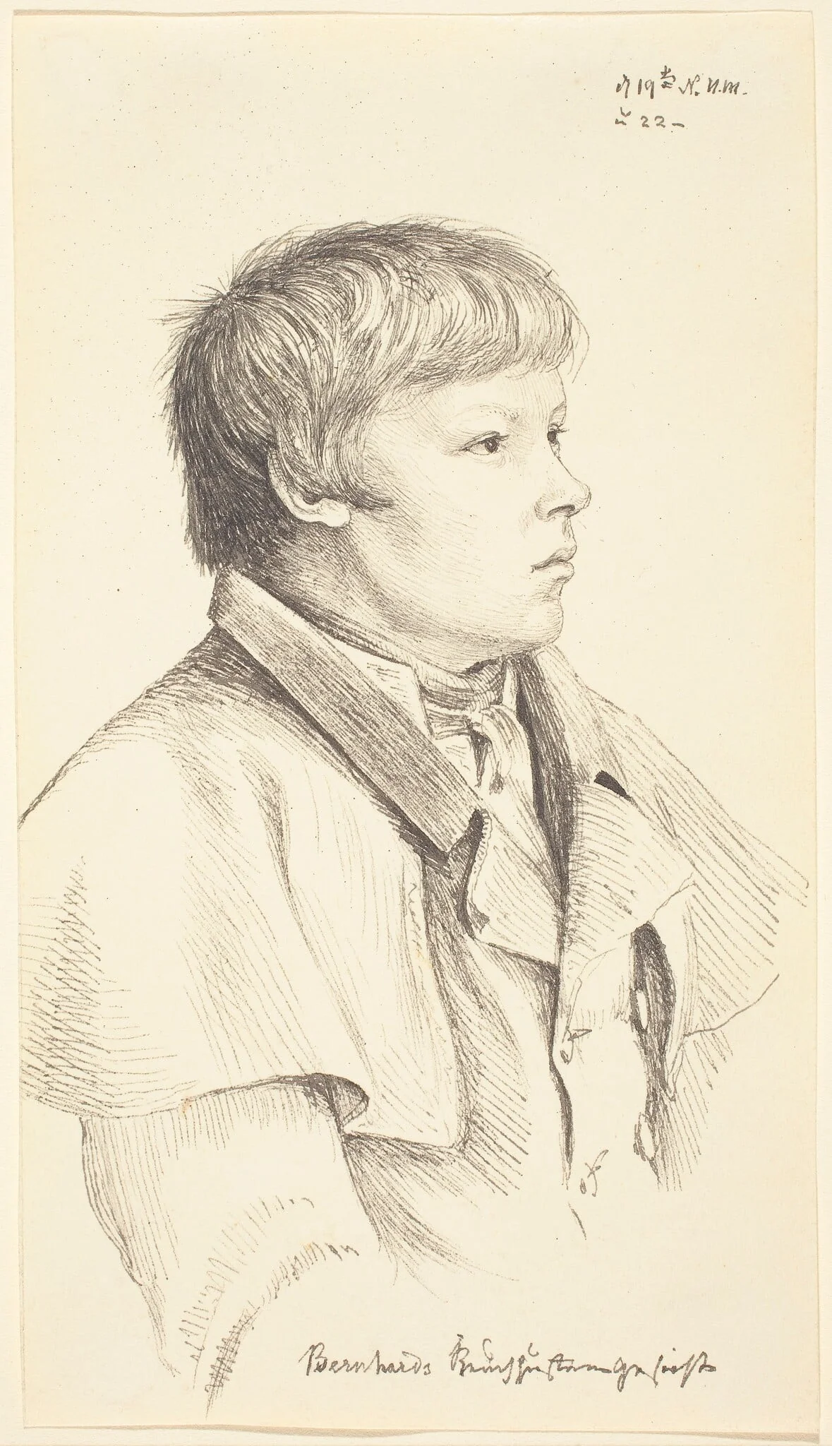 Bernhard's Whooping Cough Face, detail
