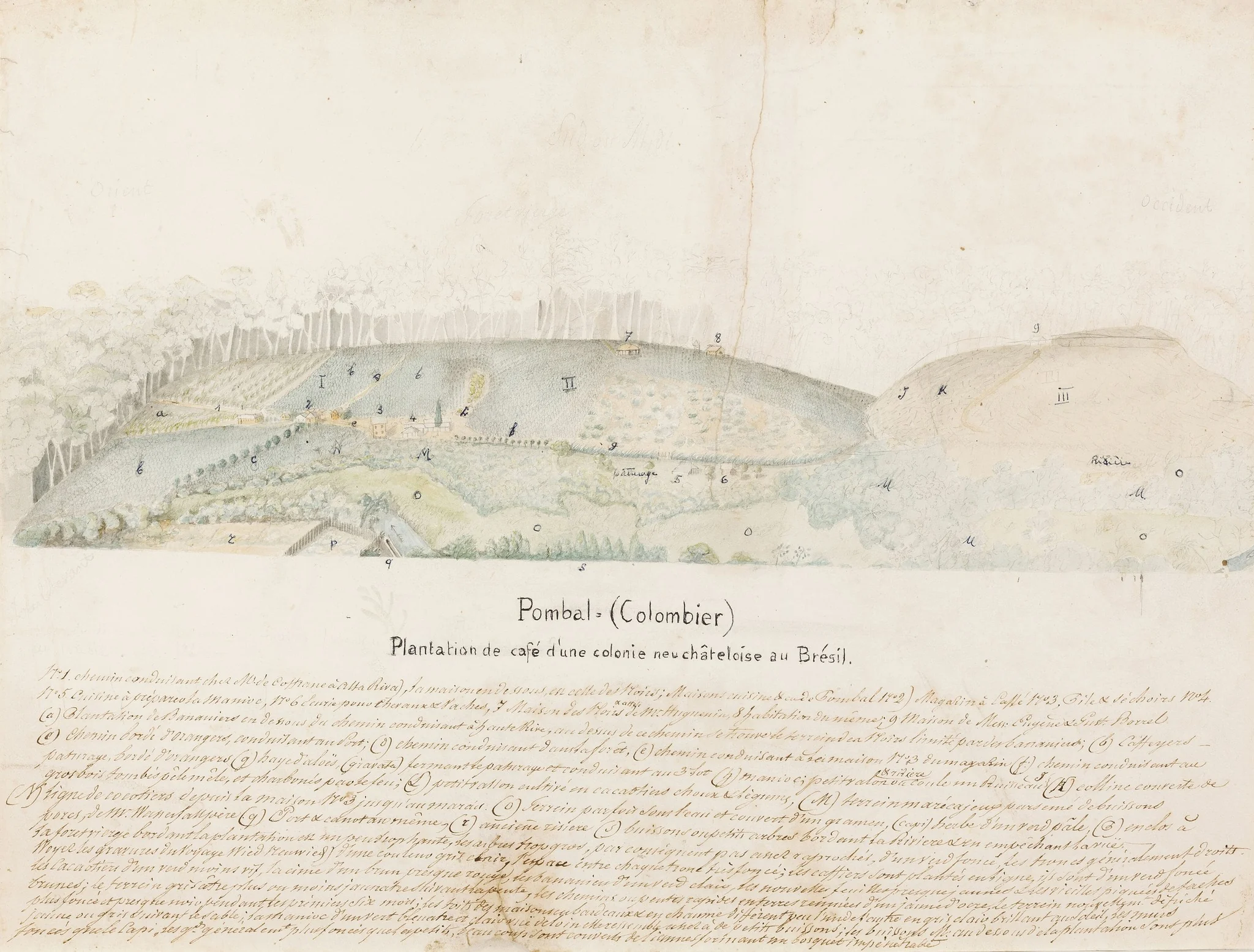 Pombal = (Colombier) Plantation de café d´une colonie neuchâteloise au Brésil, detail