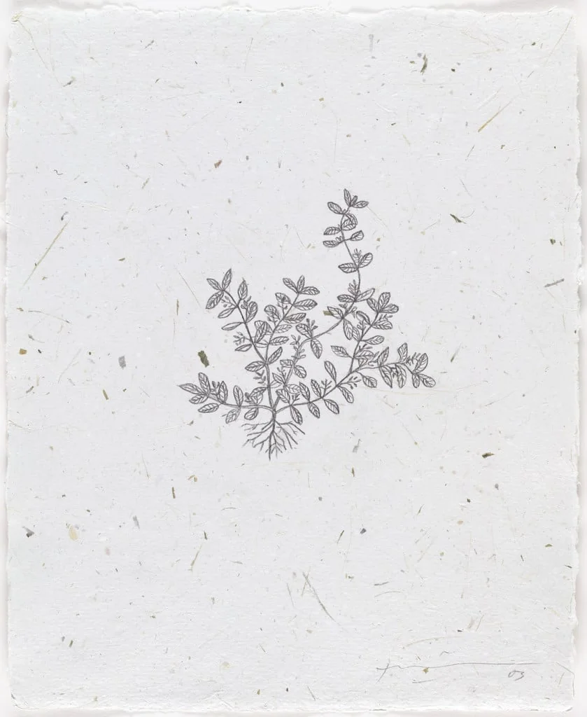 Untitled, detail