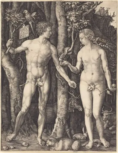 Adam and Eve, by Albrecht Dürer, ink, 1504