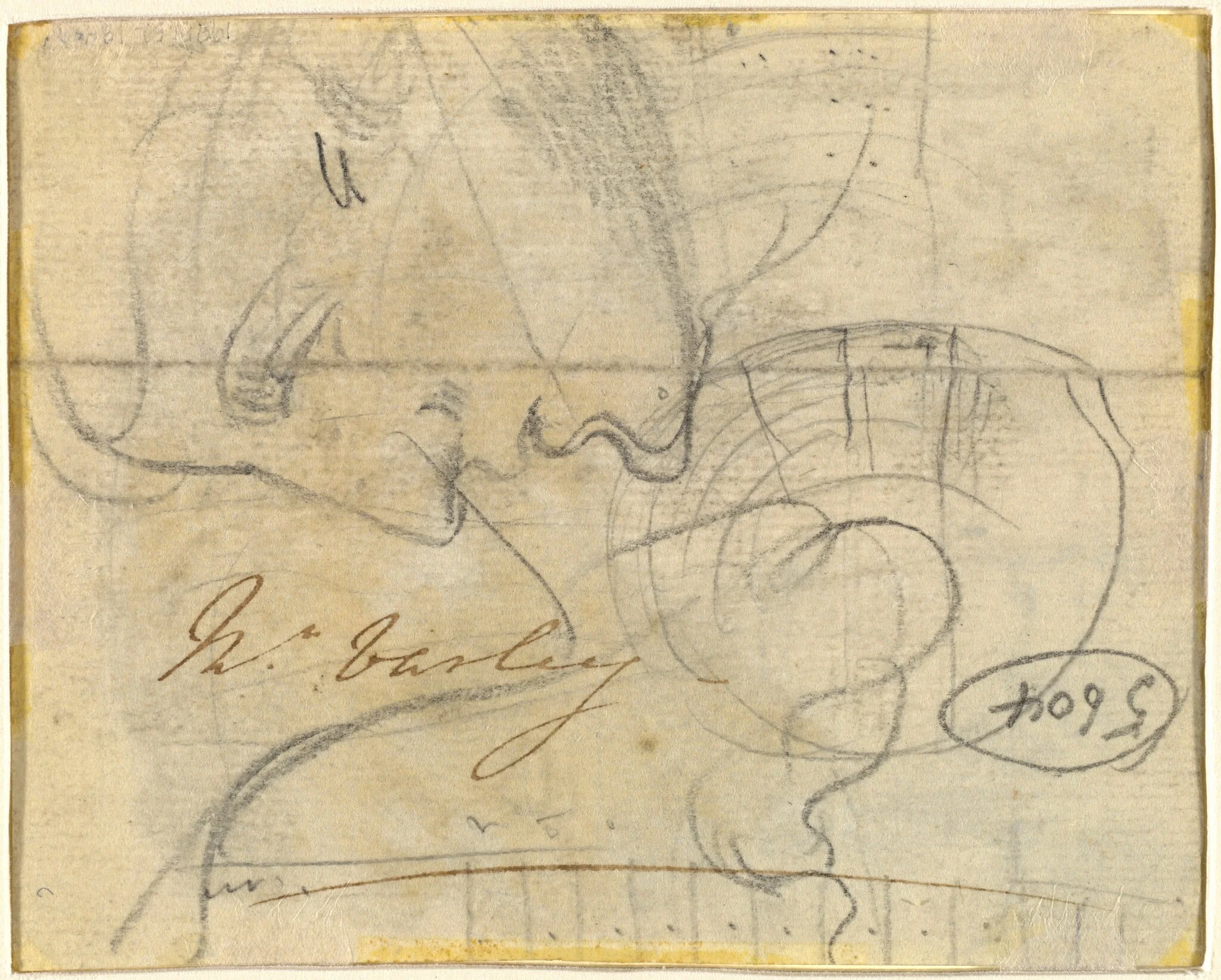 Study of a Head in Profile [verso], detail