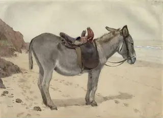 Studies of animals, by Stephen Briggs Carlill, watercolor, 1850