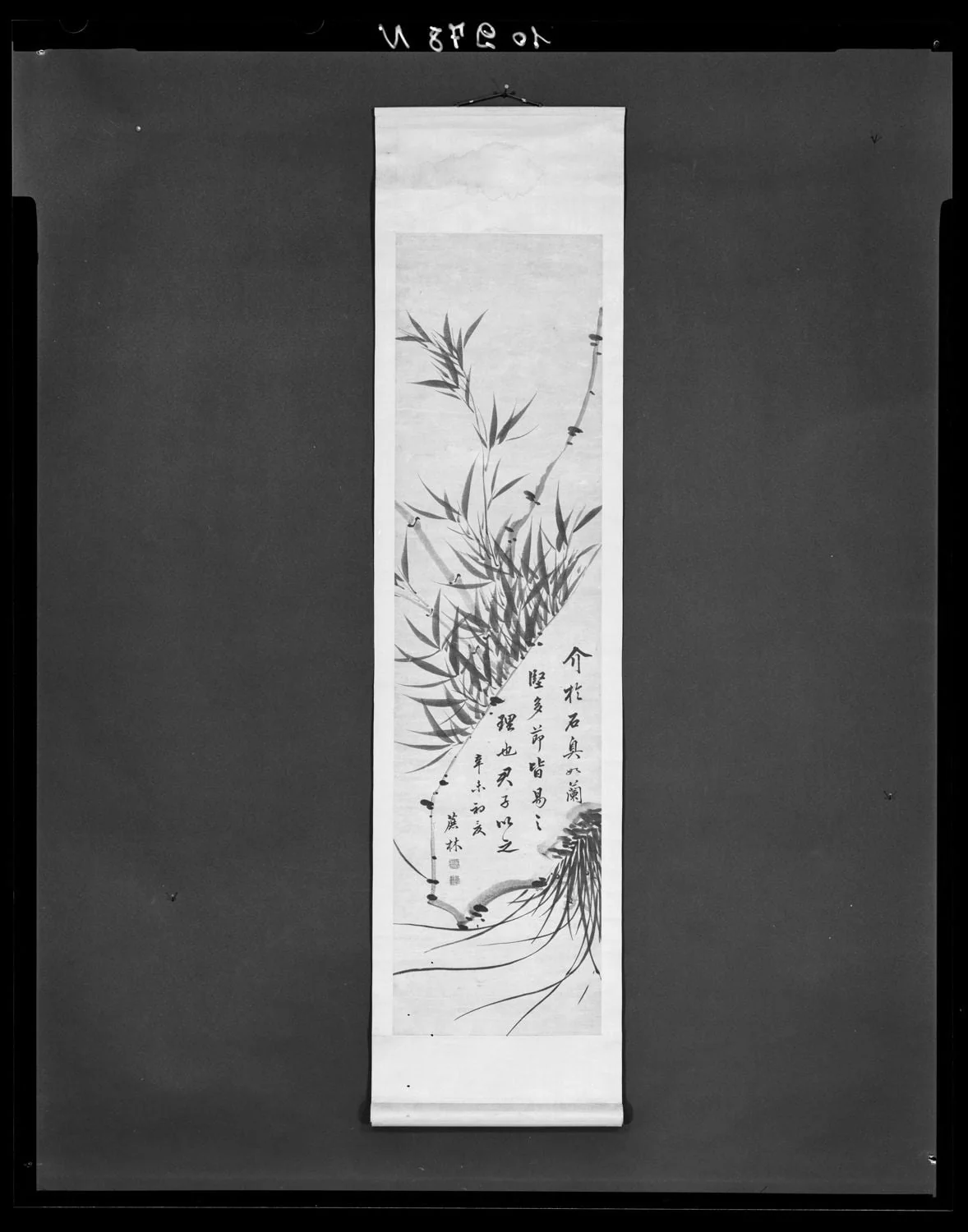 Grafu, detail