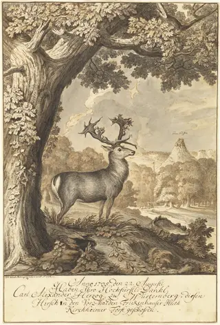 A Stag beneath a Mighty Oak, by Johann Elias Ridinger, ink, 1735