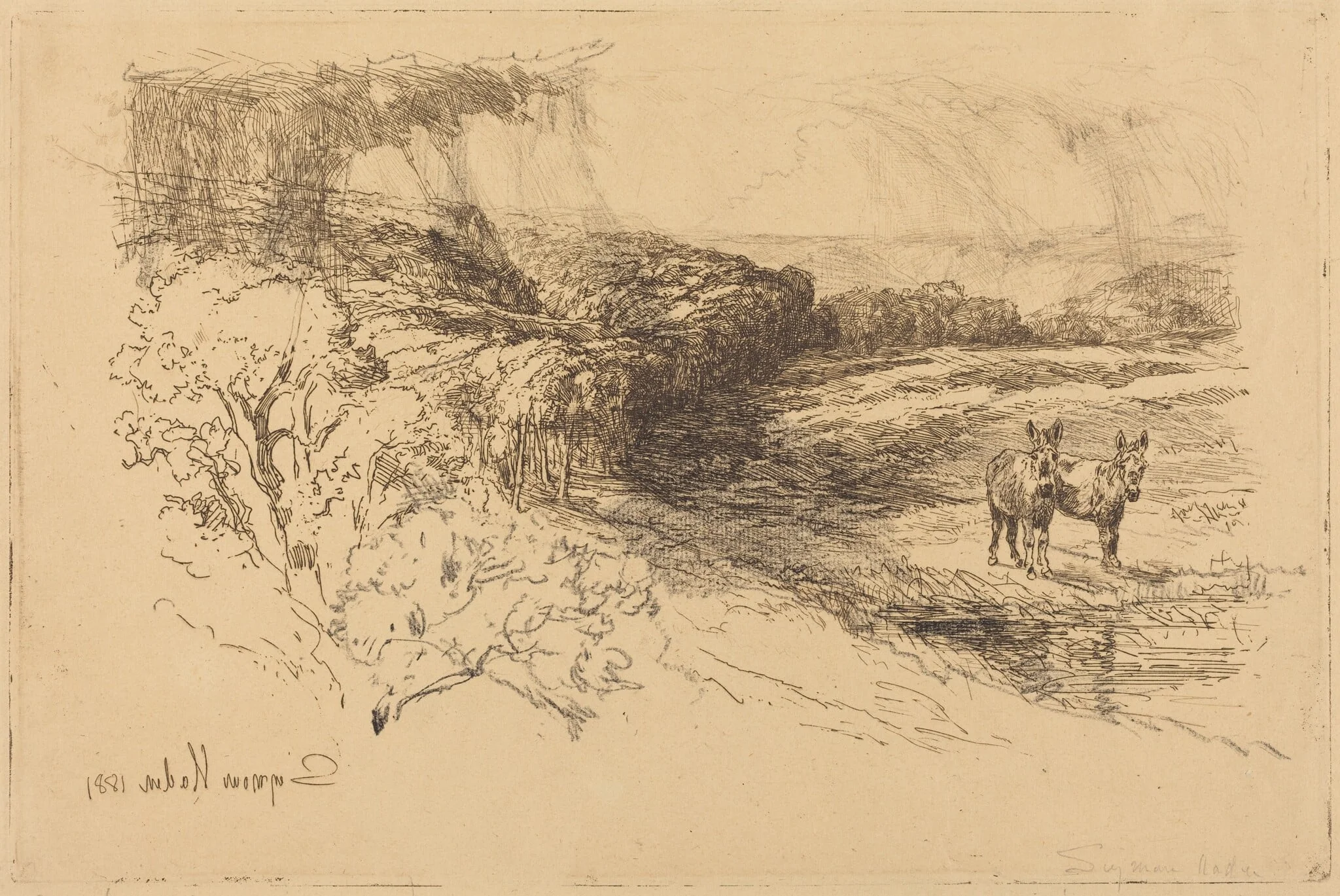 Encombe Woods (No.1), detail