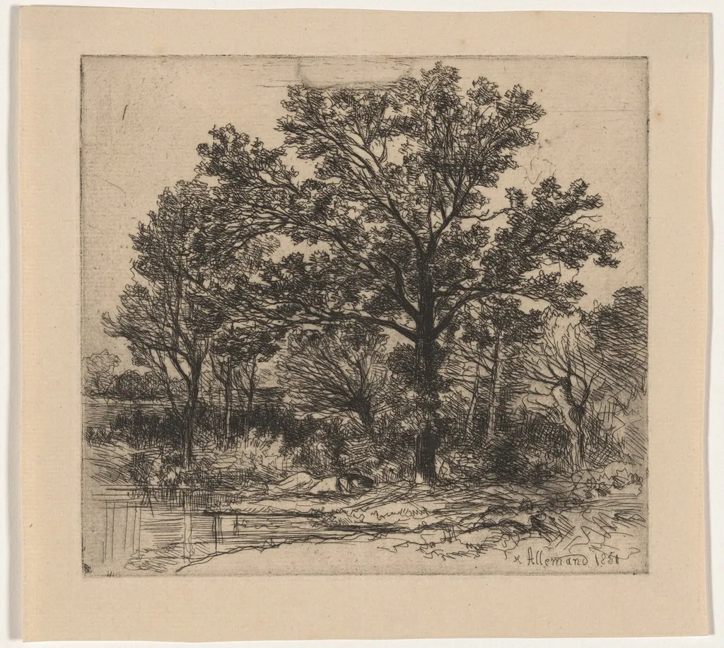 Study of Trees beside the Water (Étude d’arbres au bord d’une mare), by Louis Hector François Allemand, ink, 1851