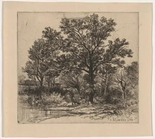 Study of Trees beside the Water (Étude d’arbres au bord d’une mare), by Louis Hector François Allemand, ink, 1851