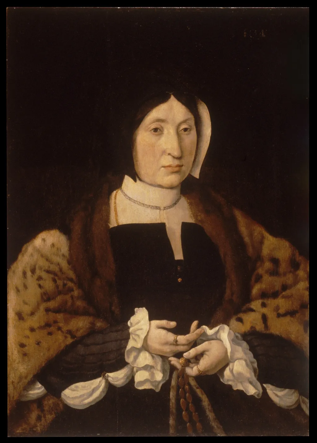 Portrait of a Woman in a Leopard Cloak, by Jan Cornelisz Vermeyen, oil, 1545