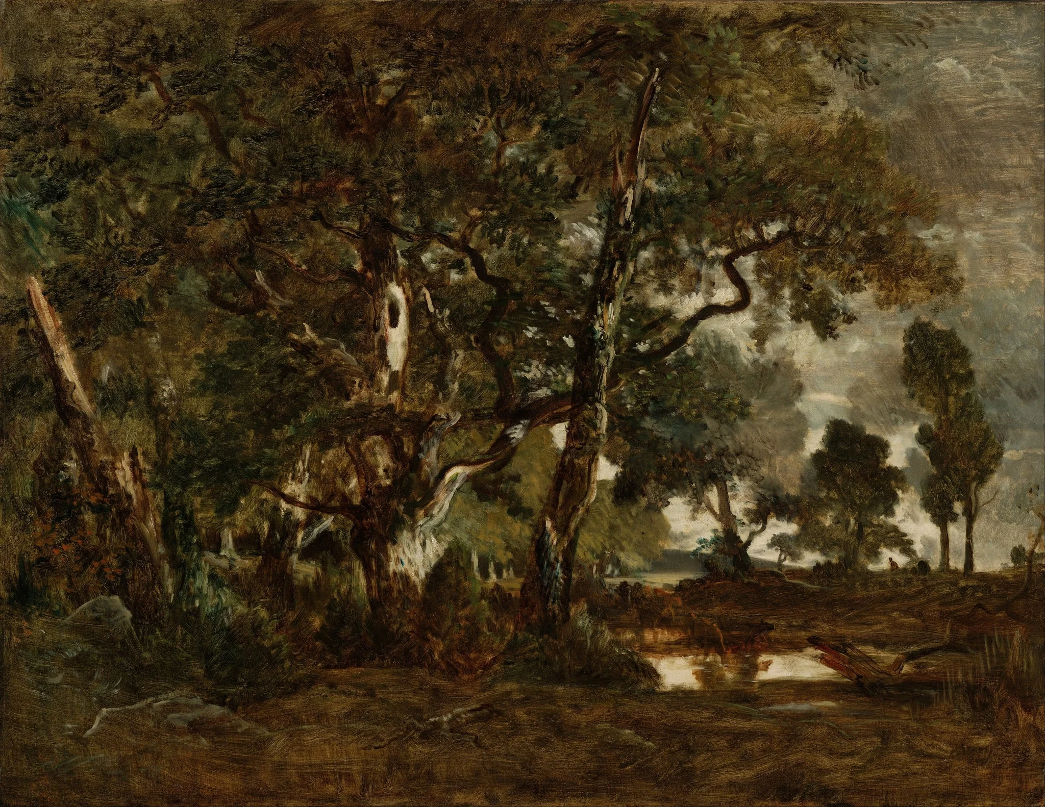 Forest of Fontainebleau, Cluster of Tall Trees Overlooking the Plain of Clair-Bois at the Edge of Bas-Bréau, detail