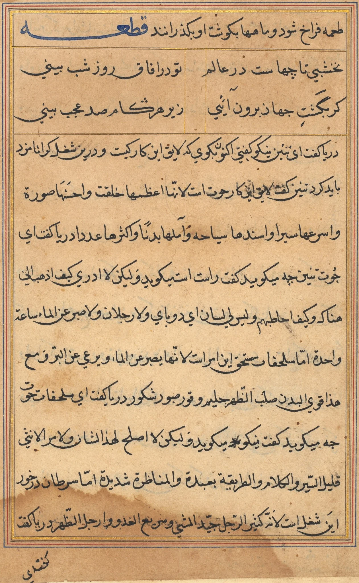 Page from Tales of a Parrot (Tuti-nama): text page, detail