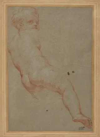 Study of a Young Boy, by Carlo Maratta, chalk, 1669