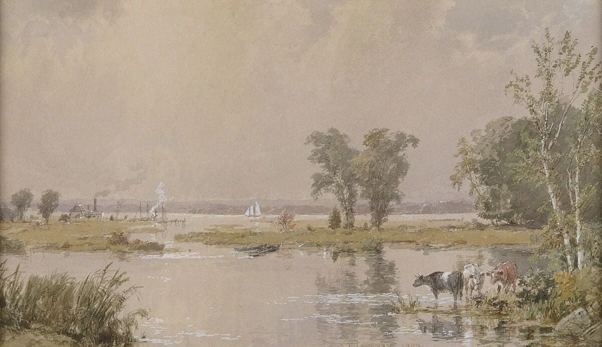 Hackensack Meadows, detail