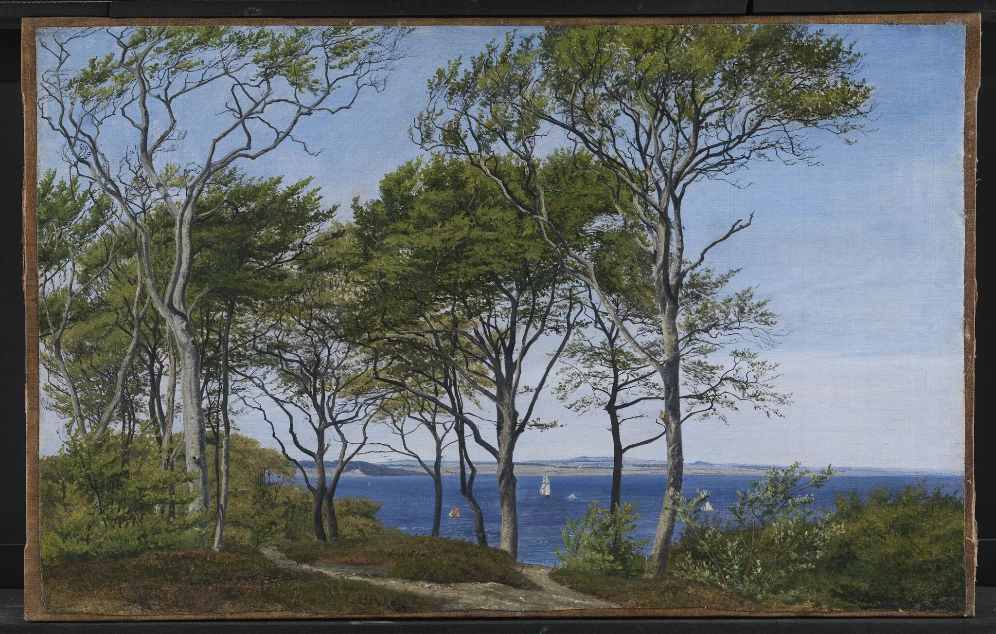 View Through Beech Trees Across a Fiord, detail