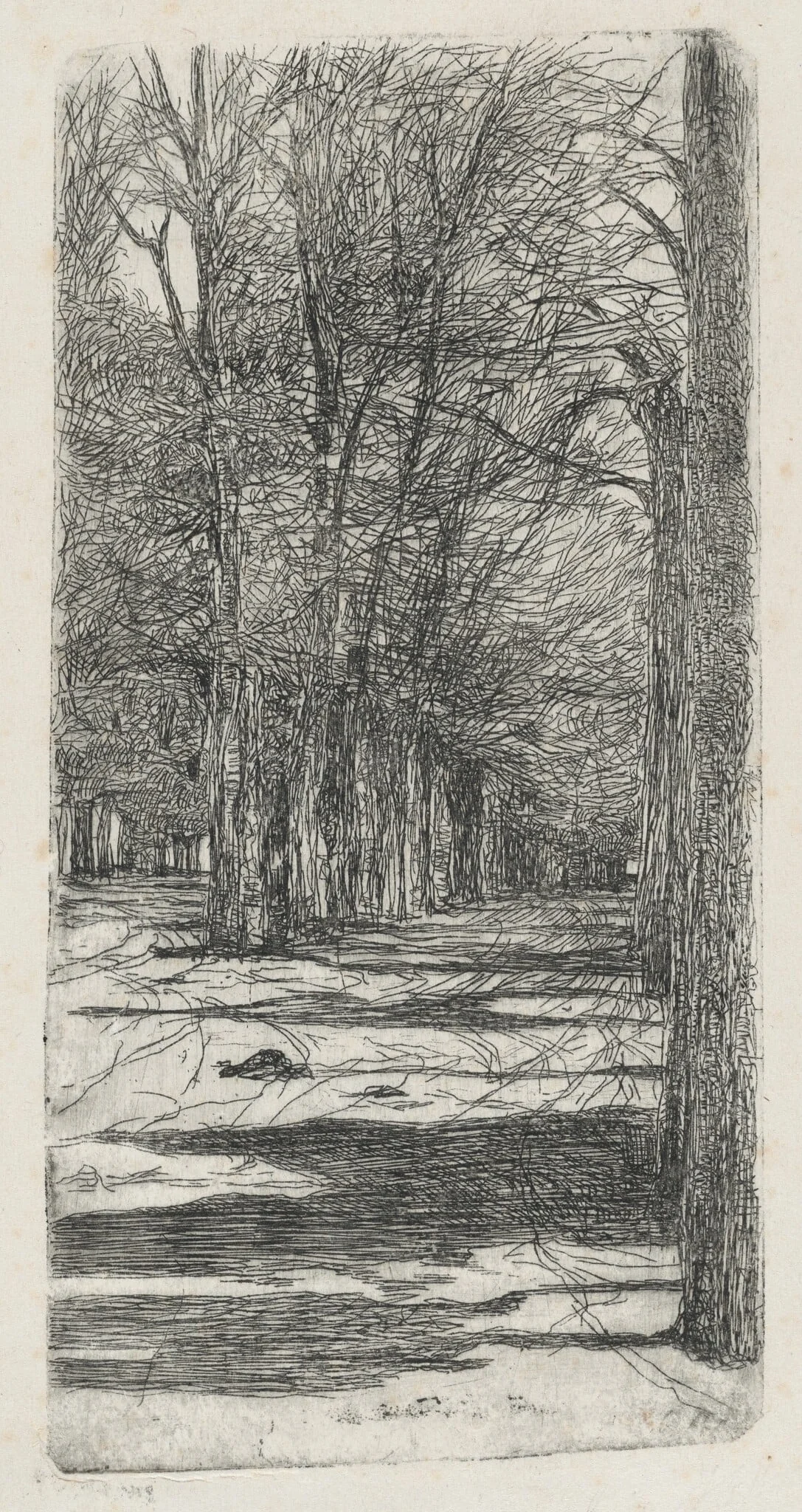 Path in Parco delle Cascine (Un viale interno delle Cascine), detail