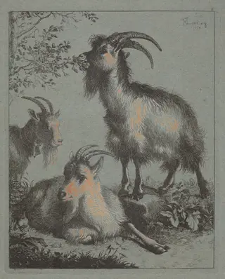 Three Goats, by Francesco Londonio, ink, 1758